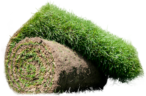 Fertigrasen Nürnberg